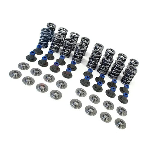 .660 Lift Dual Valve Spring Kit Suitable for LS1 LS2 LS3 LS4 LS6 LQ4 LQ9 Engines